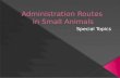 Administration Routes  in  Small Animals