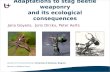 Adaptations to stag beetle weaponry and its ecological consequences