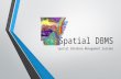 Spatial DBMS