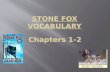 Stone Fox Vocabulary