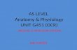 AS LEVEL  Anatomy & Physiology UNIT G451 (OCR) SKELETAL  & MUSCULAR  SYSTEMS