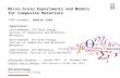 Micro-Scale Experiments and Models for Composite Materials