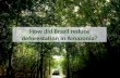How did Brazil reduce deforestation  in  Amazonia ?