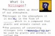What is  Nitrogen ?