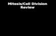 Mitosis/Cell Division Review