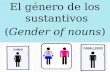 El género de los sustantivos ( Gender of nouns )
