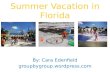 Summer  Vacation in  Florida