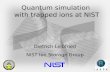 Quantum simulation  with  trapped ions at  NIST