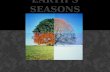 Earth’s Seasons