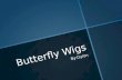 Butterfly Wigs