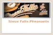 Sioux Falls Pheasants