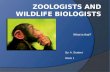 Zoologists and Wildlife Biologists