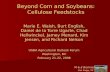 Beyond Corn and Soybeans: Cellulose Feedstocks