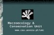 Macroecology & Conservation Unit cea.uevora.pt/umc
