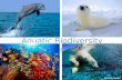 Aquatic Biodiversity Reduction