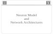 Neuron Model and Network Architectures
