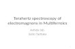Terahertz spectroscopy of  electromagnons  in Multiferroics