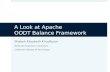 A  Look  at Apache  OODT  Balance F ramework