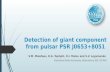 Detection of giant component from pulsar PSR  J0653+8051