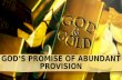GOD’S PROMISE OF ABUNDANT PROVISION