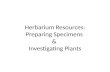 Herbarium Resources: Preparing  S pecimens  &  Investigating  P lants