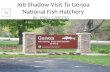 Job Shadow Visit To Genoa National Fish Hatchery