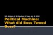 Political Machine: What did Boss Tweed Boss?