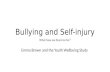 Bullying and Self-injury