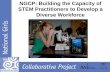 NGCP : Building the Capacity of STEM Practitioners to Develop a Diverse Workforce