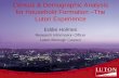 Census & Demographic Analysis for Household Formation –The Luton Experience