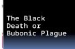 The Black Death or Bubonic Plague
