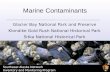 Marine Contaminants