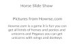 Horse Slide Show