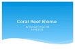 Coral Reef  B iome