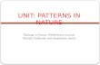 Unit: Patterns in Nature