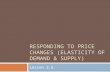 Responding to Price Changes (Elasticity of Demand & Supply)