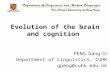 Evolution of the brain and cognition