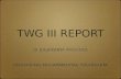 TWG III REPORT