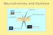 Neurodiversity and Dyslexia