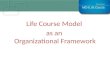 Life Course Model as  an  Organizational  Framework
