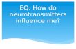 EQ: How do neurotransmitters influence me?