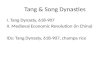 Tang & Song Dynasties