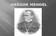 Gregor  Mendel