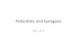Potentials and Synapses