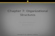 Chapter 7:  Organizational Structures