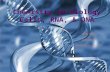 Chemistry to Biology Cells, RNA, & DNA