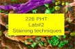 226 PHT Lab#2  Staining techniques