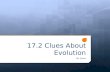 17.2 Clues About Evolution