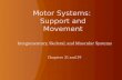 Motor Systems:  Support and Movement