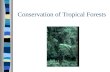 Conservation of Tropical Forests